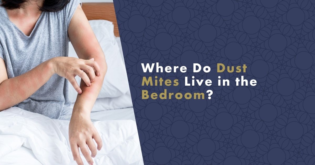 dust-mites-live-in-the-bedroom (1)